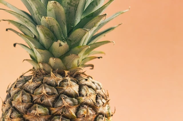 De wonderlijke wereld van de ananasplant: groei, verzorging en feiten